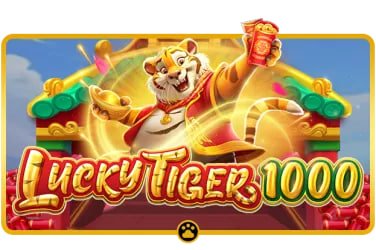 topx bet