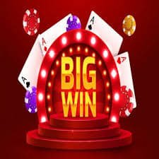 topx bet