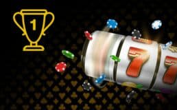 topx bet